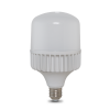 TR100NĐ2/30W.H