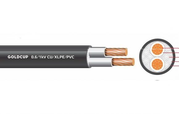 Cáp điện 2 lõi cách điện PVC 0.6/1kV Goldcup GC CEV 2x50RC-0.6-X 1 P29 580x370