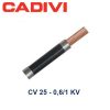 Cadivi Cv 25