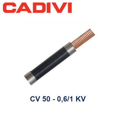 Dây điện đơn CU/PVC 0,6/1kV Cadivi CV-95 1 Cadivi Cv 50