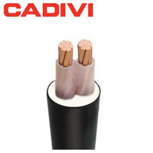 Cadivi Cxv 2x1