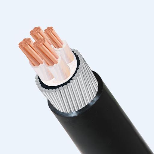 Cáp điện lực hạ thế có giáp bảo vệ 4 lõi 0.6/1kV CADIVI CV CVV/DSTA-4x35 1 Cap Cadivi Cxv 4 Loi