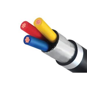 Cap Cvv Dsta 3loi