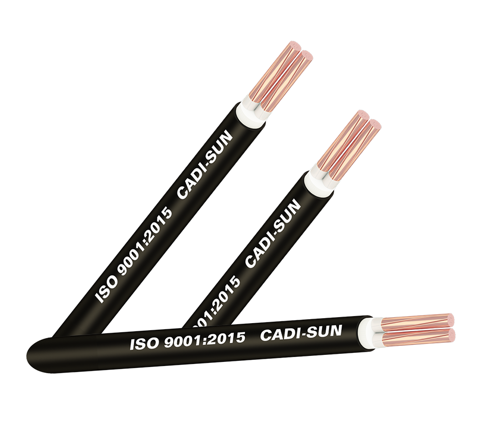Cáp điện lực 2 lõi CXV-2R-600V CADIVI CV CXV-2x60 1 Cxv 2x