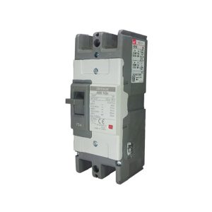 Aptomat Ls Abs102c 125a