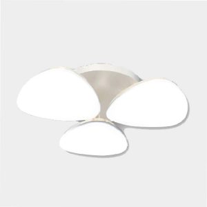 Đèn Led ốp Trần 36w Điện Quang Đq Ledccl16 36765 S
