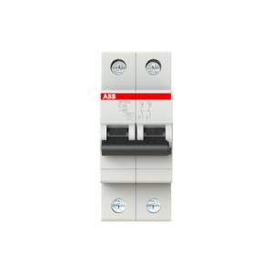 Cầu Dao Tự Động 2P 25A 4.5kA (SH202L-C25) ABB 2CDS242001R0254