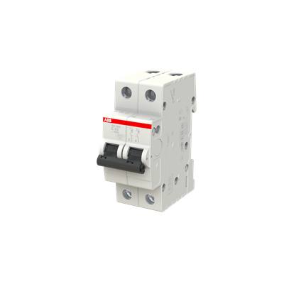 Cầu Dao Tự Động 2P 63A 4.5kA (SH202L-C63) ABB 2CDS242001R0634 2 Cầu Dao Tự Động 2P 63A 4.5kA (SH202L-C63) ABB 2CDS242001R0634 - Ảnh 2
